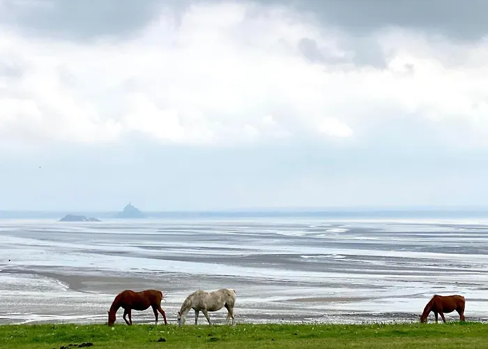 Maison De Gamme 14 Couchages - Baie Du Mont Saint Michel Feriehus